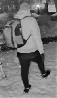 10.03.2025 PD Nord - mutmaßlicher Einbrecher gesucht Bild 2