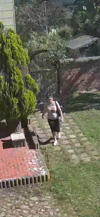 Gesuchte Tatverdächtige 1/2