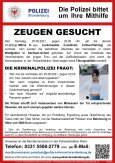 Fahndungsplakat Milina K. _ Zeugen gesucht