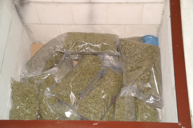Cannabis in der Bunkeranalge