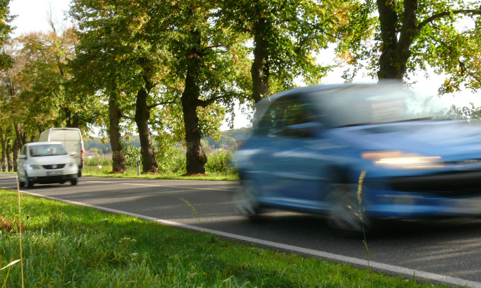 Allee im Sommer