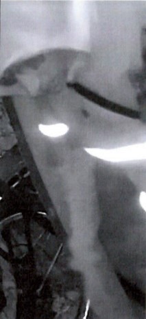 16.01.2026 PD Nord - Unbekannter TV Nr.3.jpg