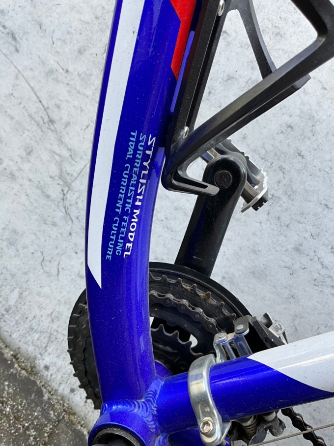 Eigentümerfahndung - Fahrrad_Rahmen unten