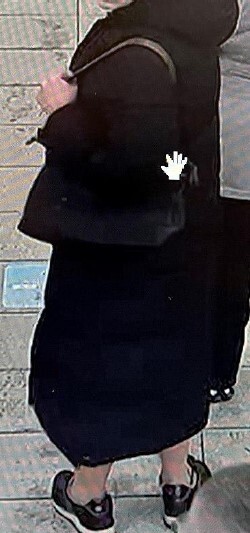 Fahndung 35-26 Tatverdächtige Frau